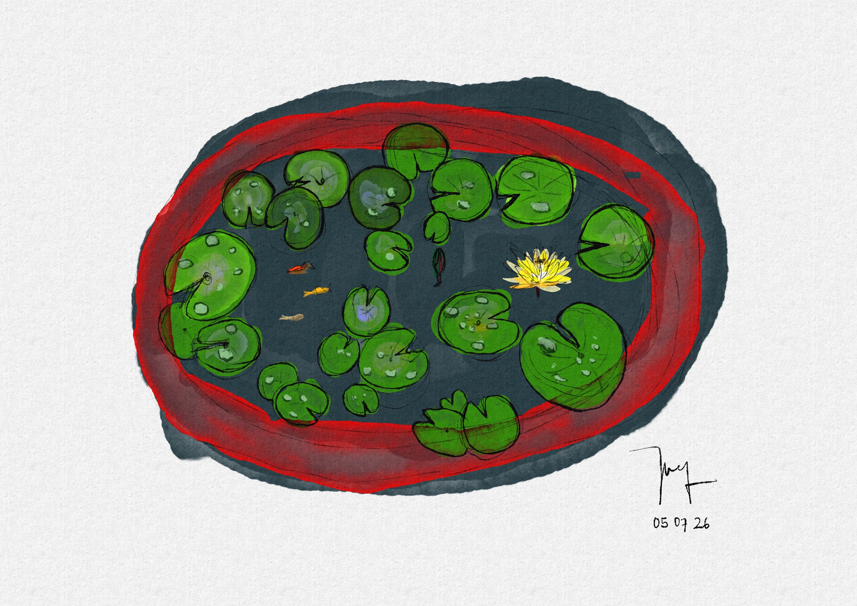hoa sen
